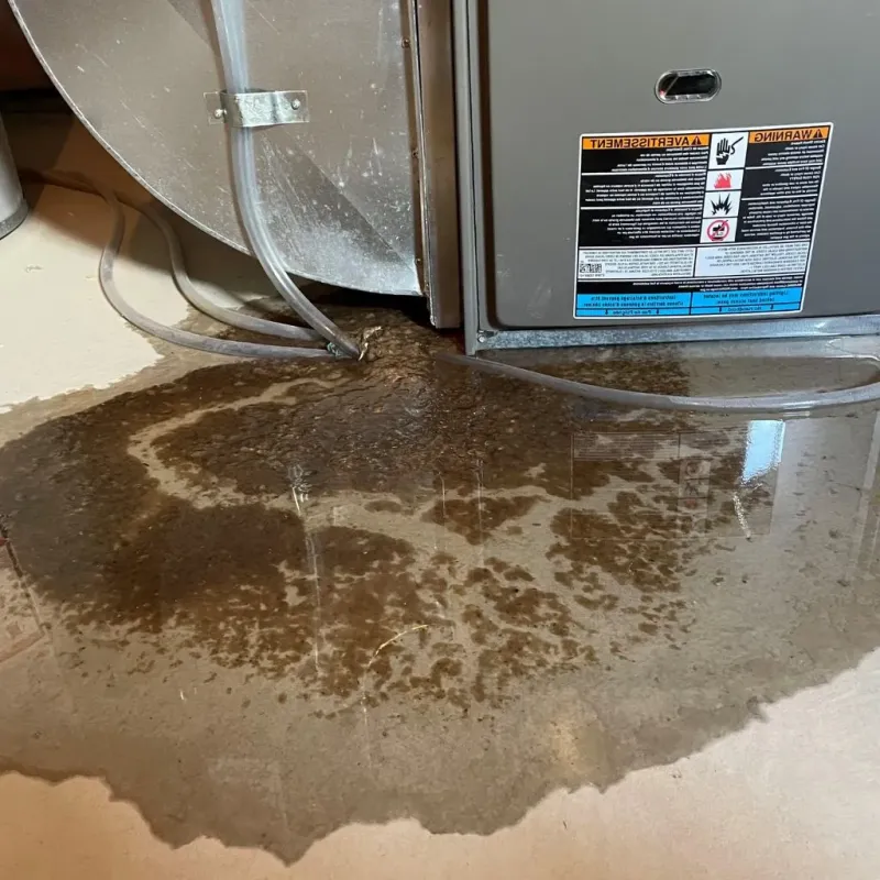 Pipe Burst and Leak Restoration in Parsonsfield, ME